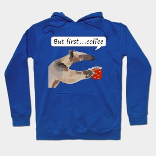 but first...coffee Hoodie